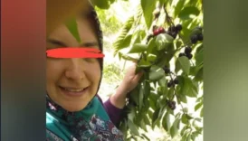 Türbanlı Derya