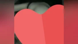 Bolu üniversitesindeki hatun arabada sevgilisi tarafından sikiliyor