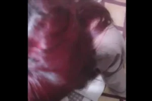 Kızıl Saçlı Genç Sevgilisine Skso Çektirip Skiyor