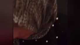Türbanlı kadın oral seks yapıyor