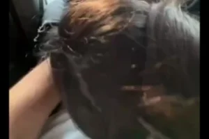 Ezhel Küvette S*ks Diyor, Bunlar Arabada S*kso Yapıyor