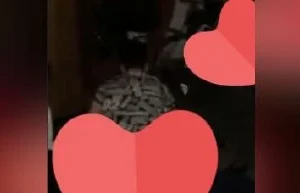 Gençler sınıf arkadaşını sikiyor kız 5 yarrak birden yiyor