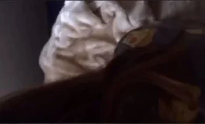 İyi Bayramlar İrfan Diye Söyle Diyor