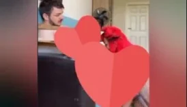 Muhteşem azgın ben Floranın  Onlyfans iceriği