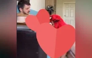 Muhteşem azgın ben Floranın  Onlyfans iceriği