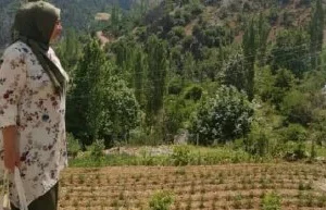 Olgun türbanlı arşivi