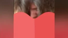 Süt beyaz çıtırı sikerken göt deliğini ayırıp bu götü birtürlü sikemedim diyor