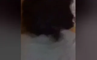 Tecavüz Eder Gibi Sik Beni Aşkım