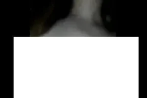 C*ckold Memelerden Süt Geliyor