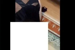 Eline Aç P*pişini Deyip G*tten Giriyor