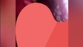 Kıvırcık fileli kızın premium sex yayını